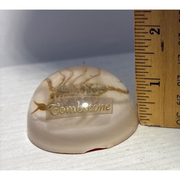 Vintage  Scorpion Paperweight Tombstone Dome Resin Bug Display Red Felt Base - Picture 7 of 8